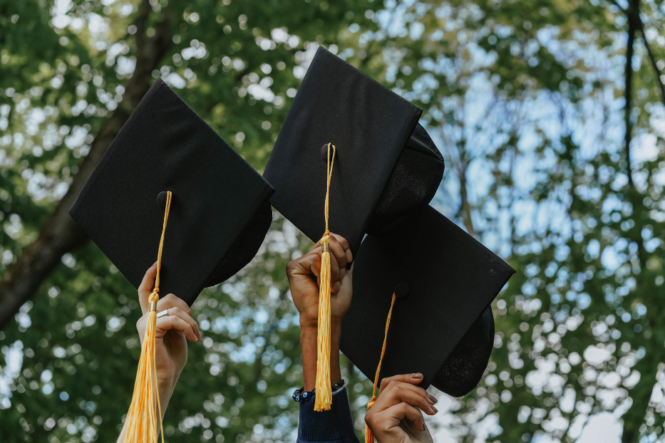 How to Get an International Student Loans: No Co-Signer, No Collateral