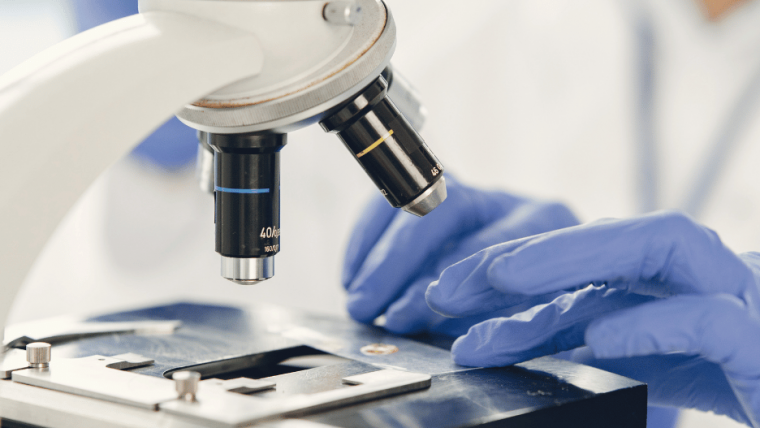 What Is a STEM Program? Explore Top Study Options with UniApplyNow