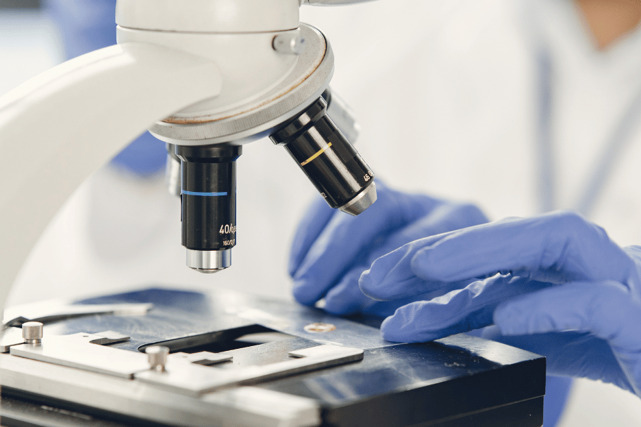 What Is a STEM Program? Explore Top Study Options with UniApplyNow